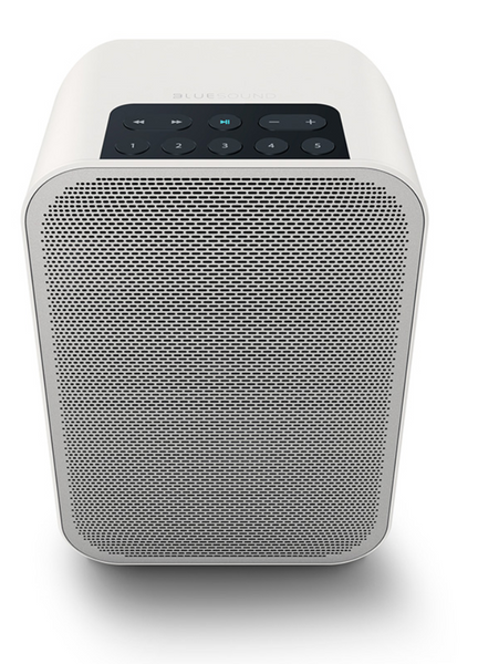 Bluesound Pulse Flex 2i Wireless Speaker