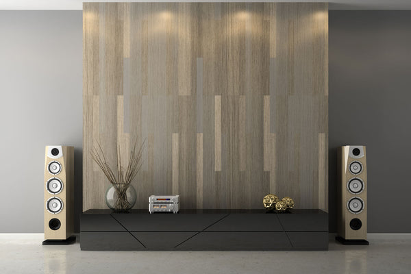 Upgrade Your Space with Modern Home Audio in Ontario
