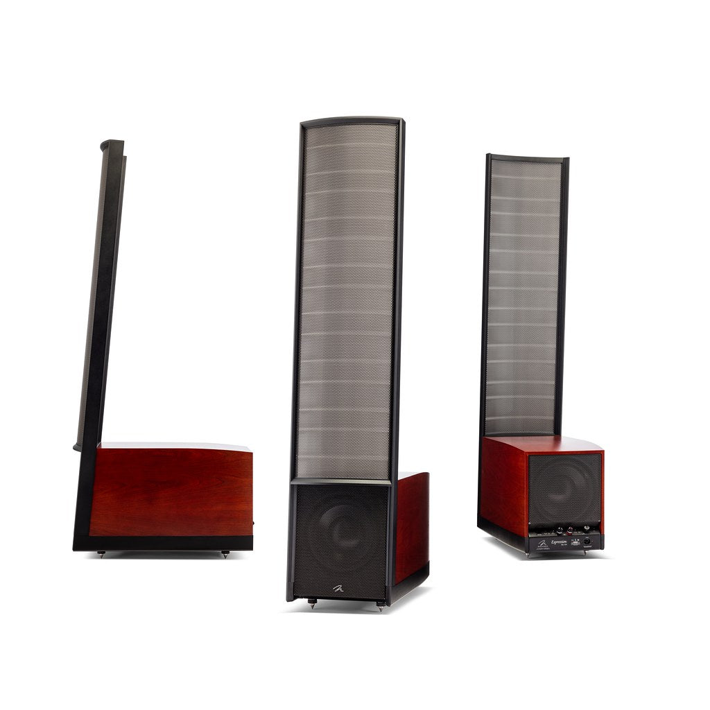 Expression ESL 13A Floorstanding Speakers (Pair)