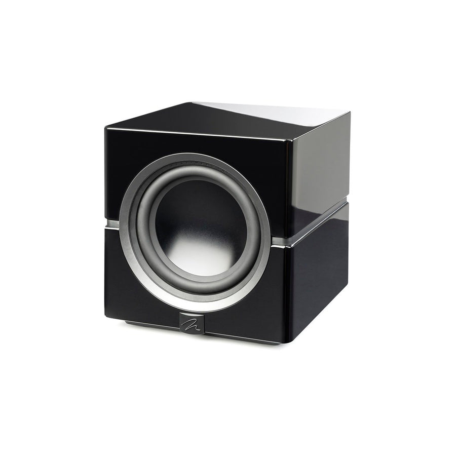 MartinLogan Dynamo 10 Subwoofer