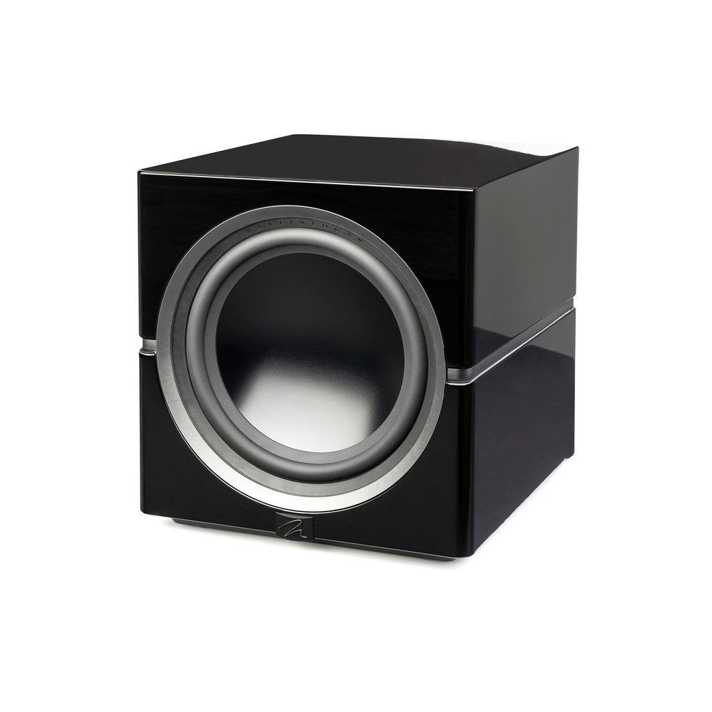 MartinLogan Dynamo 12 Subwoofer