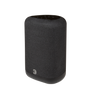 Bluesound PULSE FLEX (P130) Wireless Music Speaker - Now Available For Pre-Order!