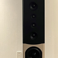 Bryston Model T10 Line Array Floorstanding Speakers (Pair)