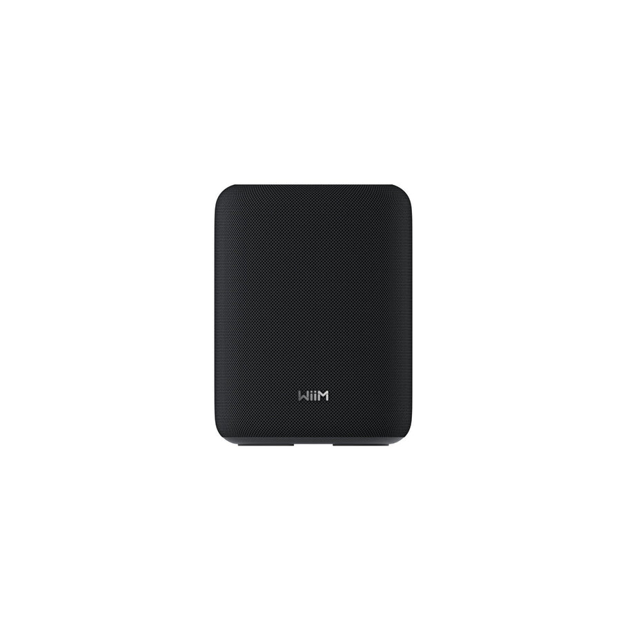 WiiM Sound Lite Smart Streaming Speaker