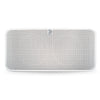 Bluesound Pulse 2i Wireless Speaker