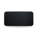 Bluesound Pulse Mini 2i Wireless Speaker