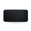 Bluesound Pulse Mini 2i Wireless Speaker