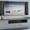 PSB PWM2 On-Wall Speaker (Each)